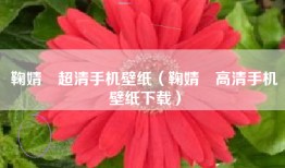 鞠婧祎超清手机壁纸（鞠婧祎高清手机壁纸下载）