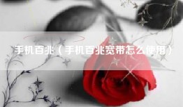 手机百兆（手机百兆宽带怎么使用）