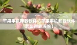 苹果手机卸载软件（苹果手机卸载软件怎么彻底清除）