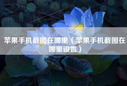 苹果手机截图在哪里（苹果手机截图在哪里设置）