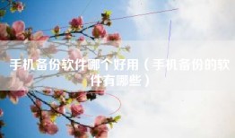 手机备份软件哪个好用（手机备份的软件有哪些）