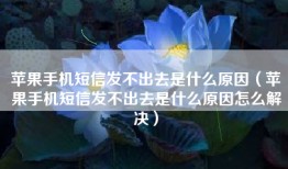 苹果手机短信发不出去是什么原因（苹果手机短信发不出去是什么原因怎么解决）