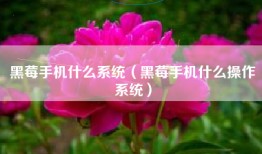 黑莓手机什么系统（黑莓手机什么操作系统）