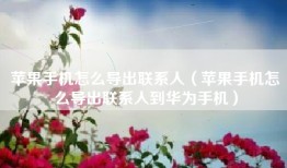 苹果手机怎么导出联系人（苹果手机怎么导出联系人到华为手机）