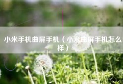 小米手机曲屏手机（小米曲屏手机怎么样）