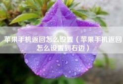 苹果手机返回怎么设置（苹果手机返回怎么设置到右边）