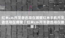 红米k30s开发者选项在哪里红米手机开发者选项在哪里「红米k30s开发者选项在哪里」