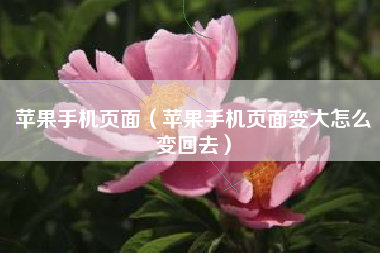 苹果手机页面（苹果手机页面变大怎么变回去）