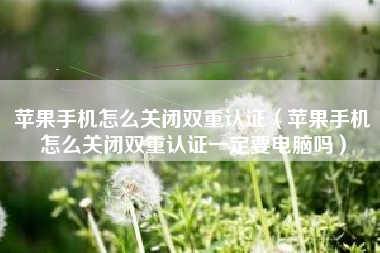 苹果手机怎么关闭双重认证（苹果手机怎么关闭双重认证一定要电脑吗）